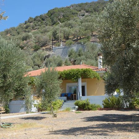 Melinda Holiday House Plomari Extérieur photo