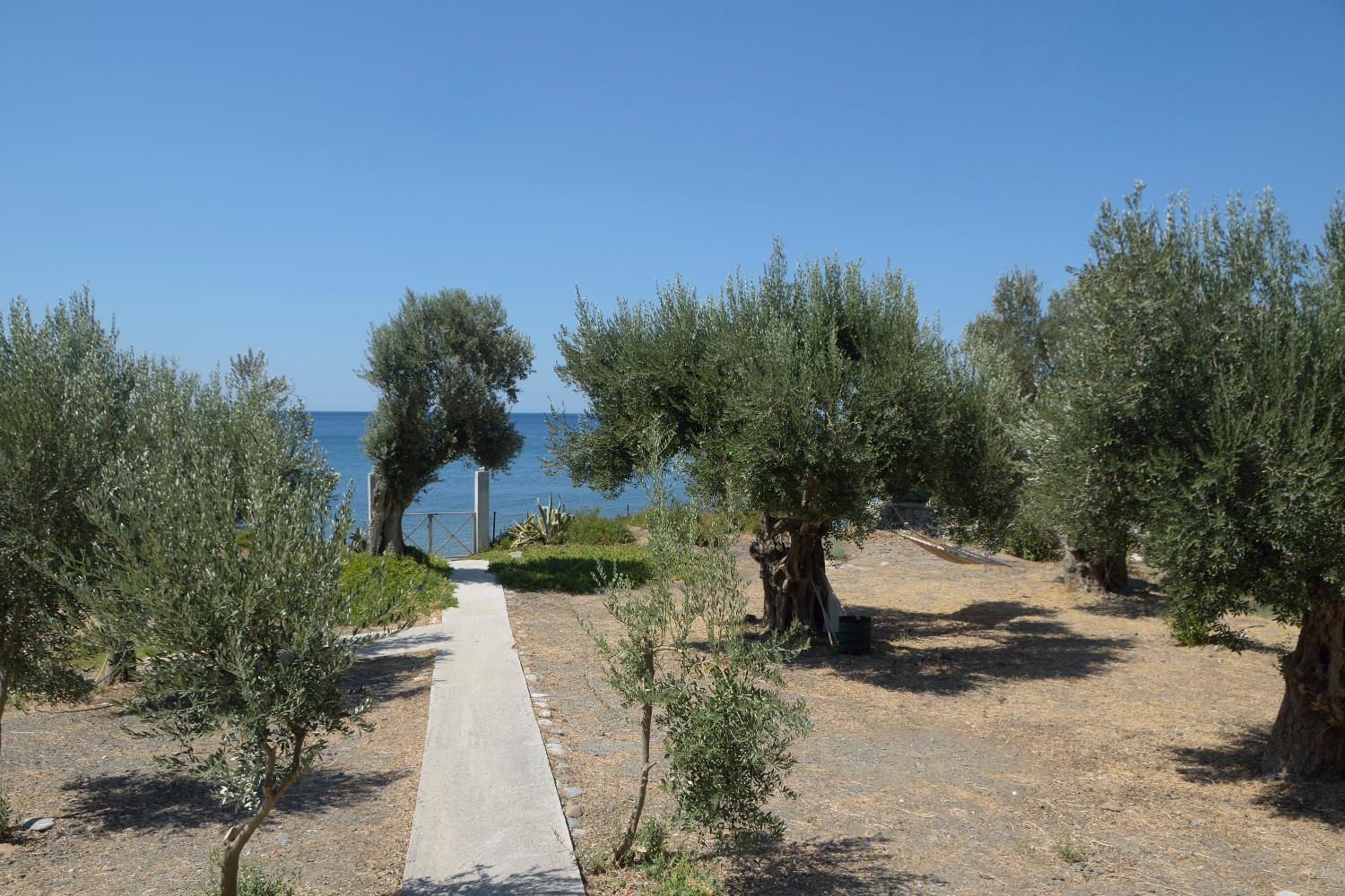 Melinda Holiday House Plomari Extérieur photo